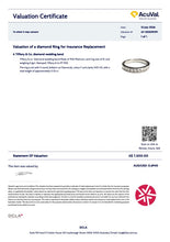 Load image into Gallery viewer, Tiffany &amp; Co. Platinum Diamond Wedding Band 0.33ct 5.1g