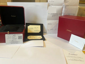 Cartier Santos Dumont Watch (Large)