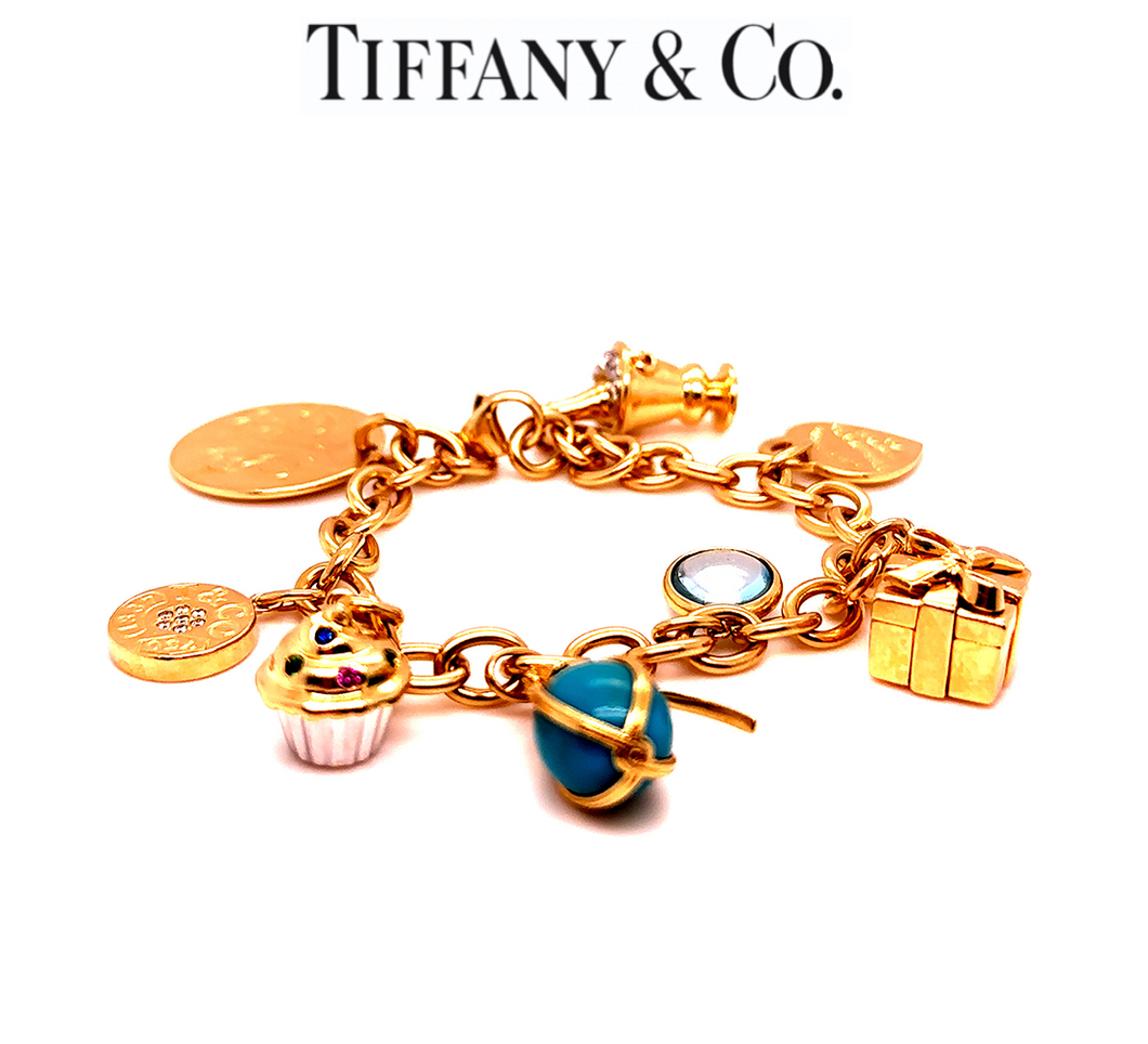 Tiffany Co Dog Chain link Bracelet