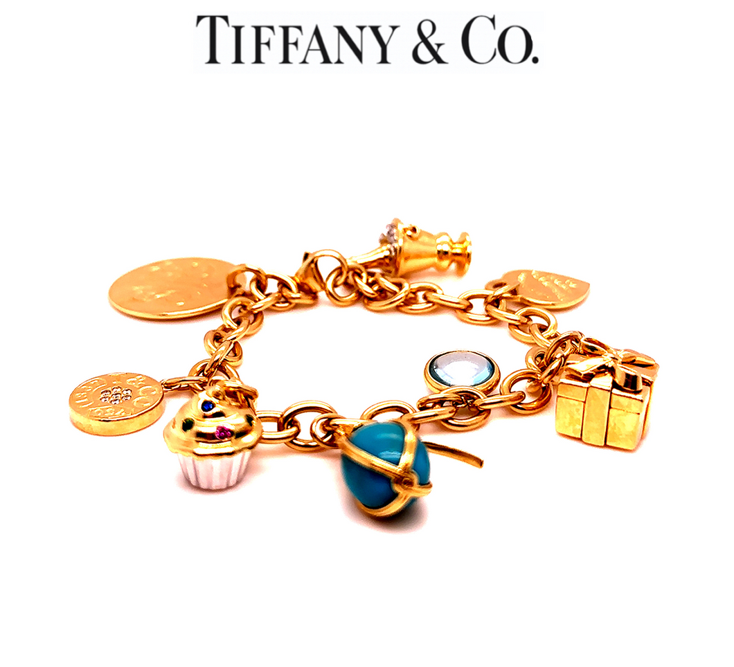 Tiffany & Co Dog Chain link Bracelet