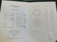 Load image into Gallery viewer, Tiffany &amp; Co Solitaire Diamond Pendant