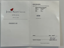 Load image into Gallery viewer, James Allen Platinum Pave Diamond Wedding Band 0.42ct 4.48g