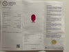 Loose Natural Ruby 1.13ct