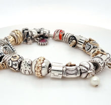 Load image into Gallery viewer, pandora charm bracelet