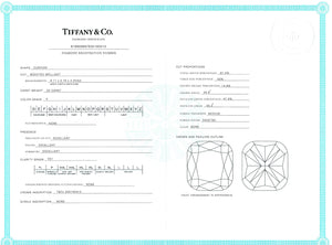 Tiffany Novo Cushion-cut Engagement Ring with a Pavé Diamond Platinum Band - Luxury Brand Jewellery